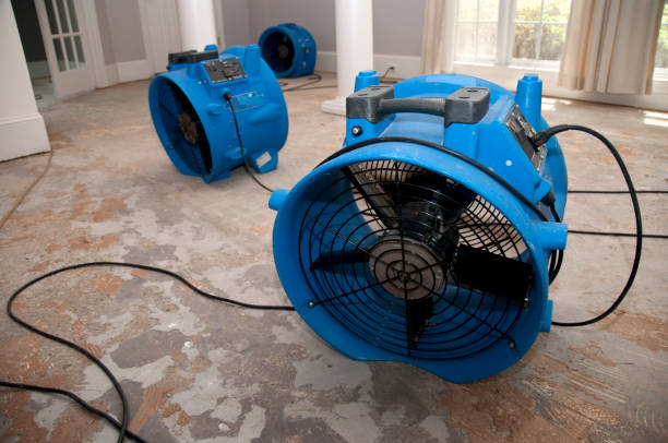 Best Carpet water damage restoration  in Oxoboxo River, CT
